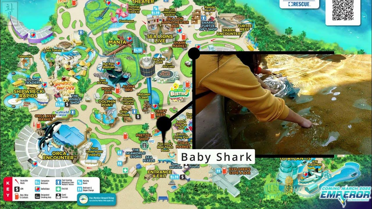 シーワールド・サンディエゴの感想：大人も子どもも１日楽しめるテーマパーク - ミセスGのブログ