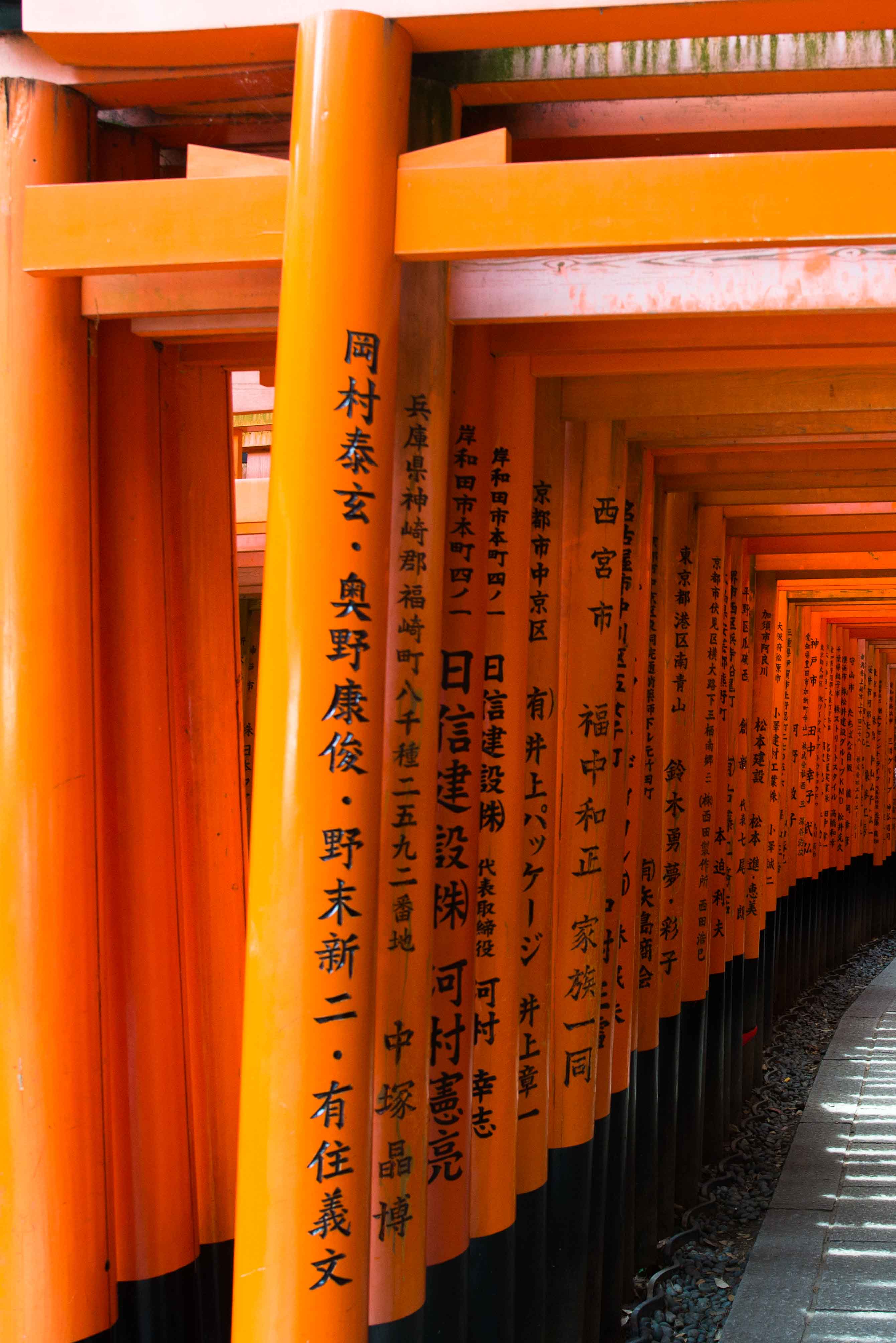 京都京都定番スポット巡りツアー - 清水寺と伏見稲荷大社の千本鳥居、そして奈良 鹿せんべい付き大阪 京都発- LIVE JAPAN日本の旅行・観光・体験ガイド
