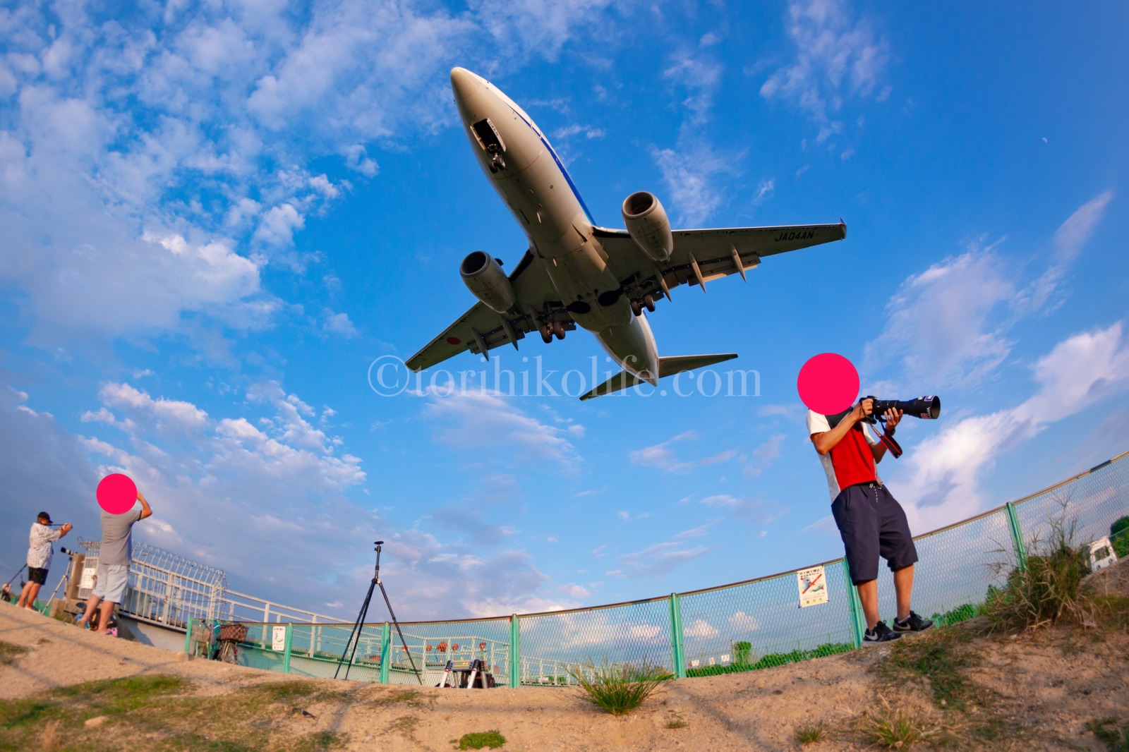 2024年版 動画付き ド迫力！飛行機が頭上に飛ぶ「千里川土手」。飛行機を見るならココで決まり♪@豊中市ママオアシス＜MamaOasis＞