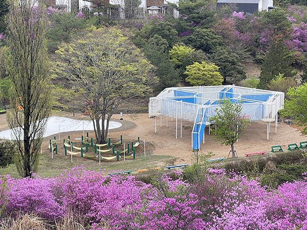 ASOBIYUKU 京都るり渓温泉泊まる森の京都京都の「森」総合案内サイト