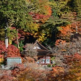 奈良県知事のメガソーラー計画「事実上断念」 五條・南部中核拠点で防災設備の一部を先行整備へ：地域ニュース : 読売新聞