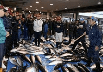 氷見漁港のセリ : ゲ ジ デ ジ 通 信