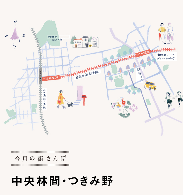 歩く！東林間から中央林間 2013.11 3Dakusai's Blog