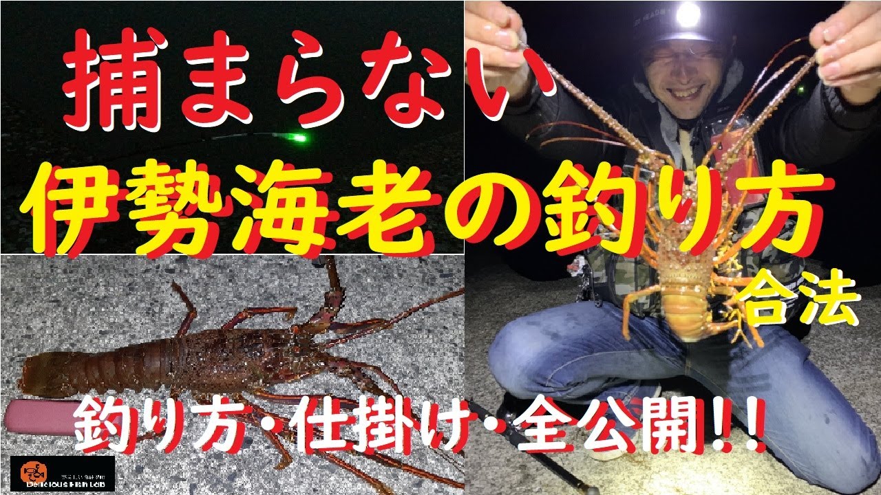 2019 08 19 伊勢海老釣りに行ってみた♪ – 釣り行くべよ