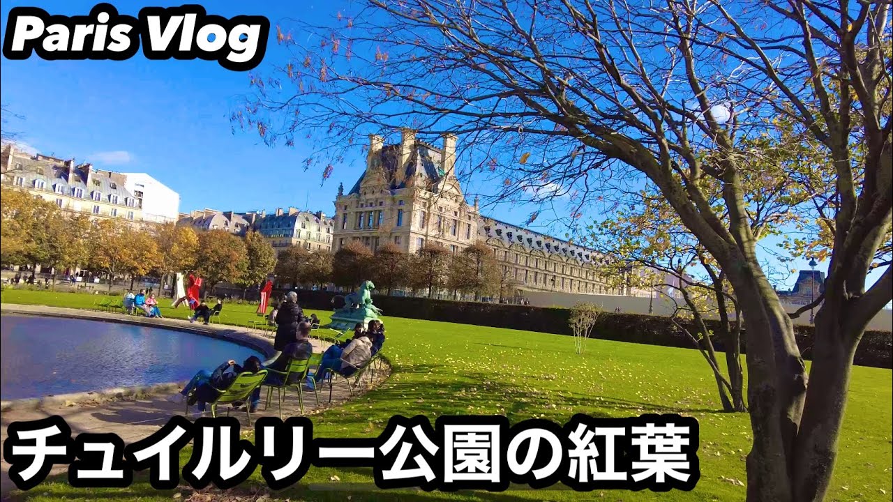 パリで完璧なピクニックを楽しもう - City Experiences™