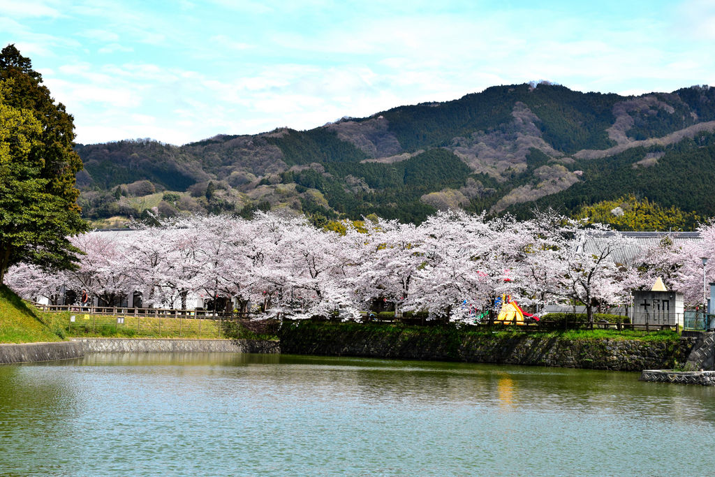 2025年 天理市で絶対外さないおすすめ観光スポットトップ10 - トリップアドバイザ