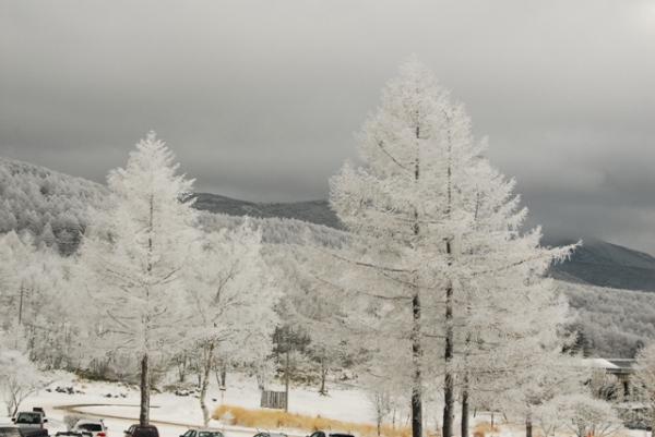 2019 函館山までバスで行くには – まちづくりセンター活動日記 2015年4月から2025年3月