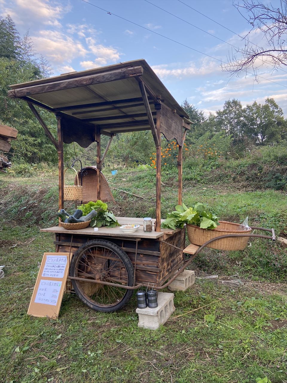 □屋台型リヤカー Cタイプ - 株式会社トーホー工業