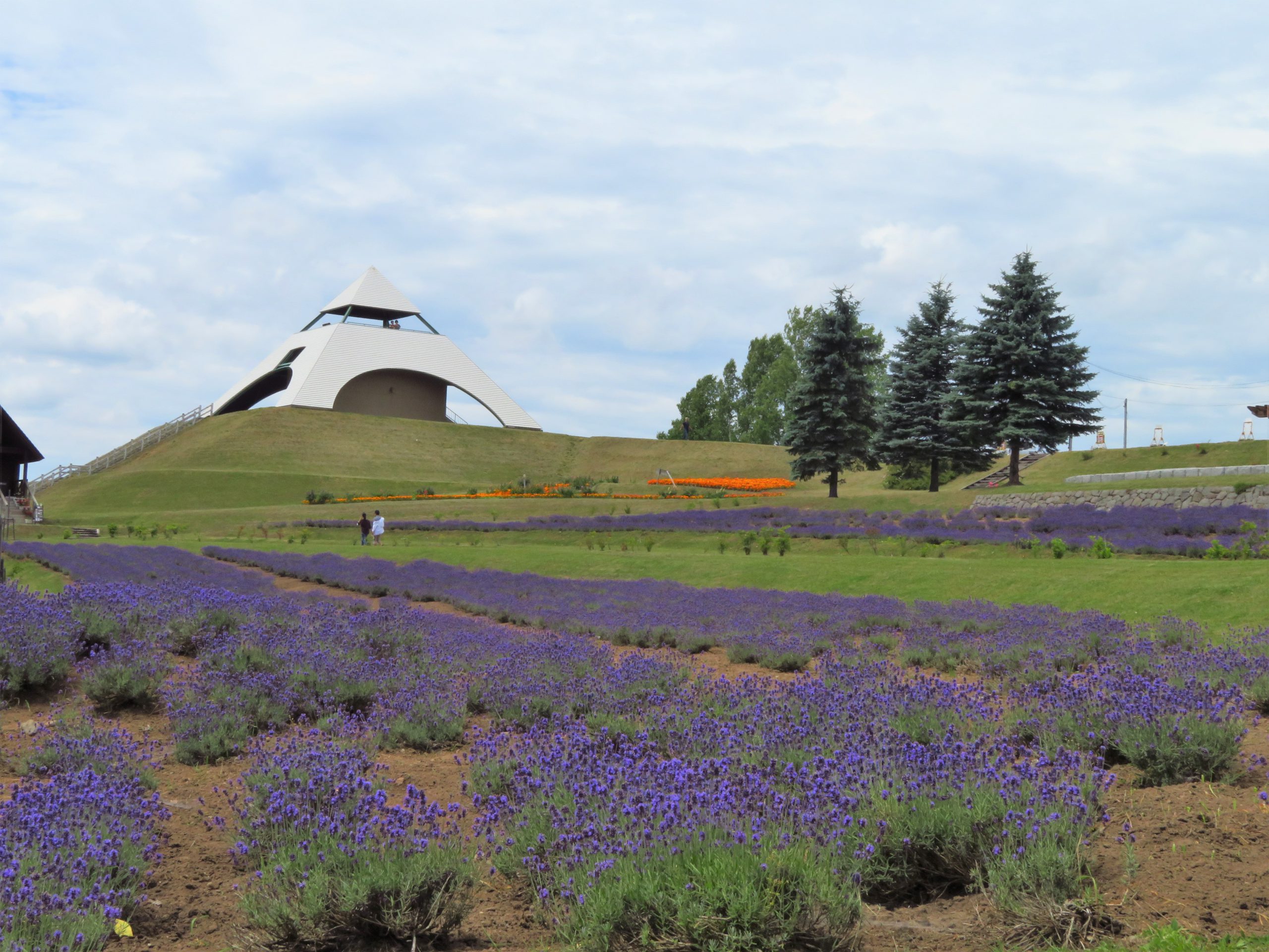 本日は 西海の丘公園 の紹介です☆ 長崎県西海市西彼町にある西海の丘公園の展望台からは、西海橋•針尾瀬戸・針尾送信所の絶景を望めます。 駐車場 トイレ遊具もあり のんびり過ごす事ができますよ♪ ゴミはお持ち帰りくださいね。 お車でファミリーマート横を伊ノ浦