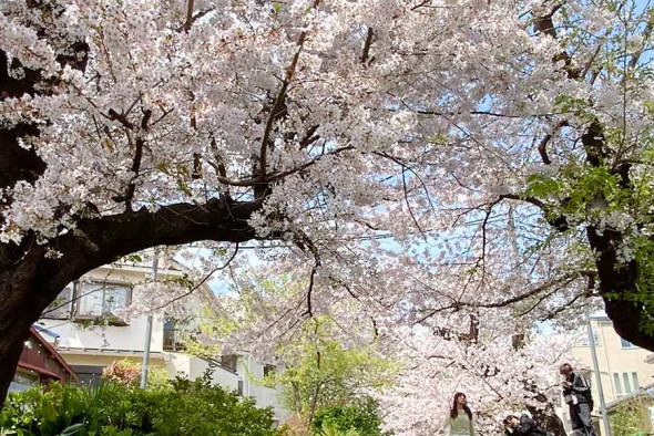 SUUMO WAVE宿河原 神奈川県川崎市多摩区宿河原３ 宿河原駅の賃貸・部屋探し情報 100131346269賃貸マンション・賃貸アパート