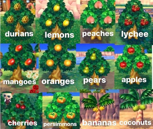 あつ森 2025年版 フルーツ 果物 家具一覧とレシピ入手方法 あつまれどうぶつの森- アルテマ