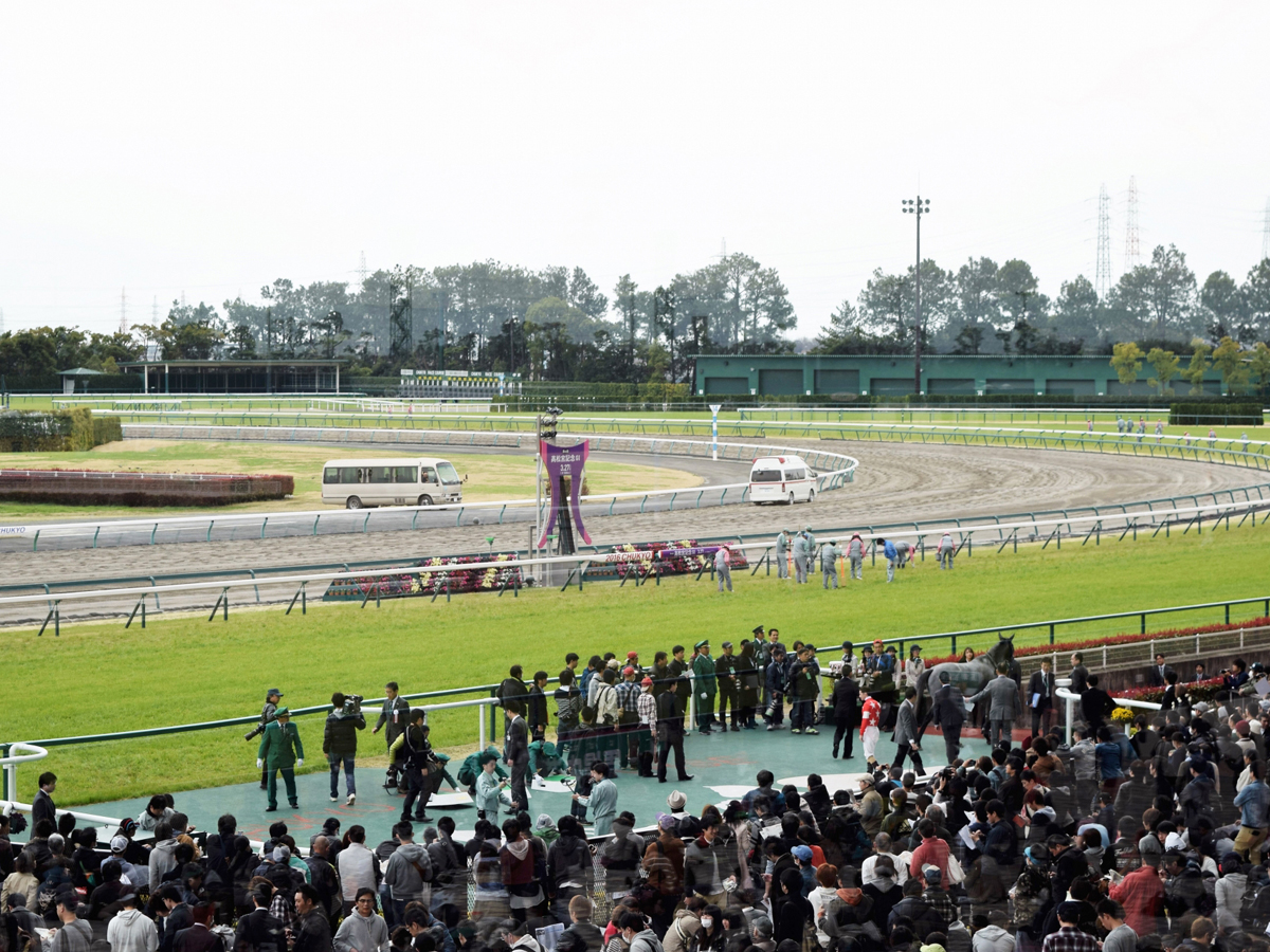福島競馬場 様スポーツ施設納入事例TOA株式会社