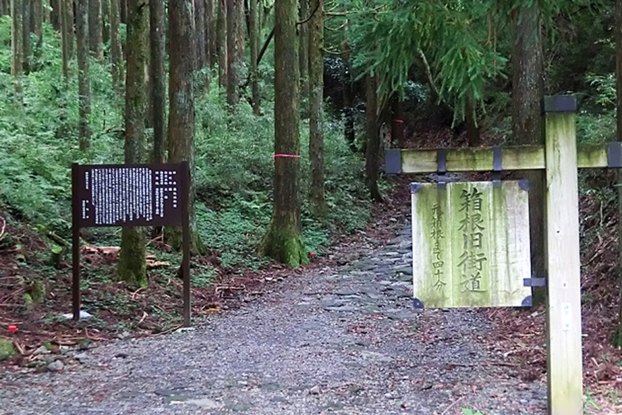 旧街道杉並木ニッポン旅マガジン