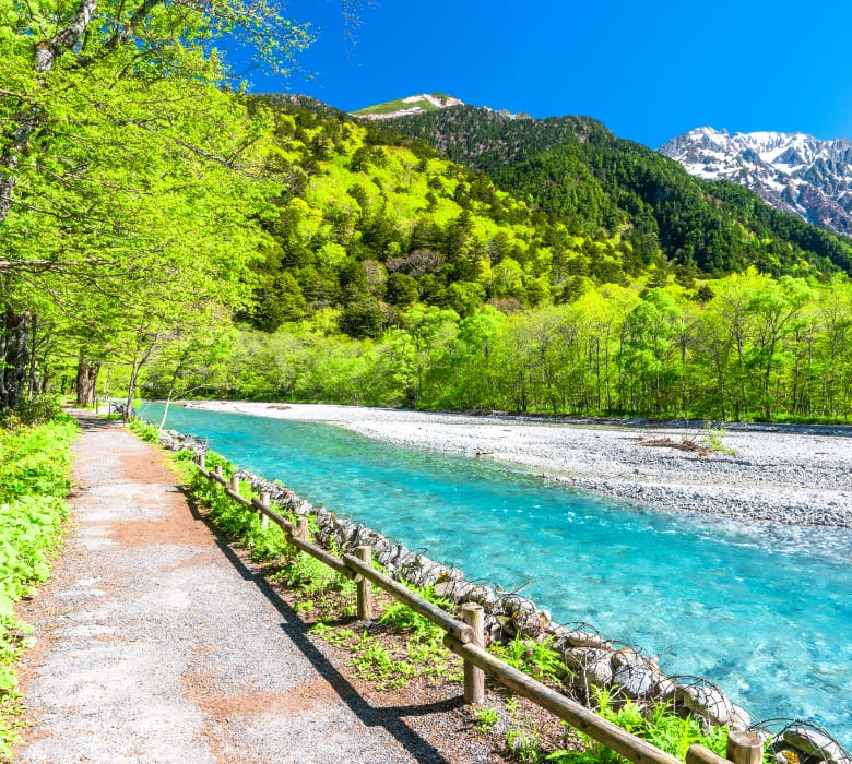 9月が見頃！佐久市のシンボル・市の花「コスモス」を見るならコスモス街道へ♪ - ペレットストーブ専門店ペレットプラス 軽井沢・佐久・上田