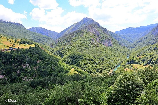 バルカン半島のモンテネグロにある野生のタラ川の深い峡谷。ヨーロッパで最も深い峡谷。の写真素材・画像素材 Image 180560782