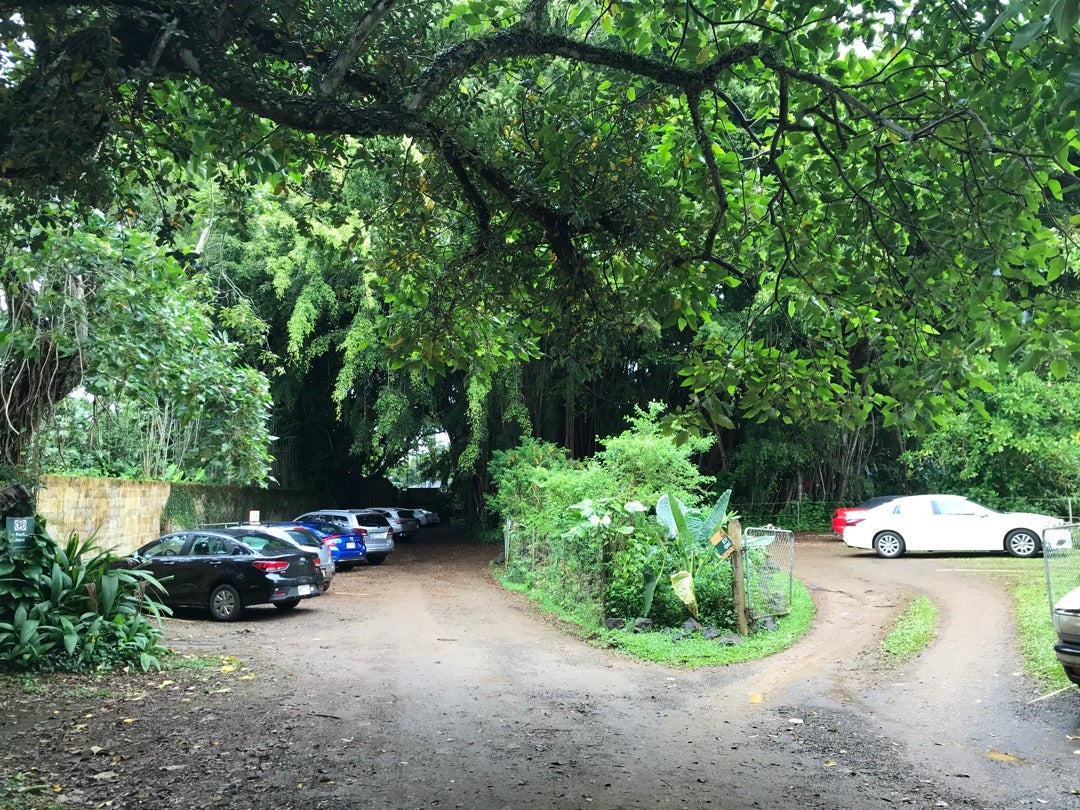 秘密がいっぱいのカウアイ島Kayo Kanagawa