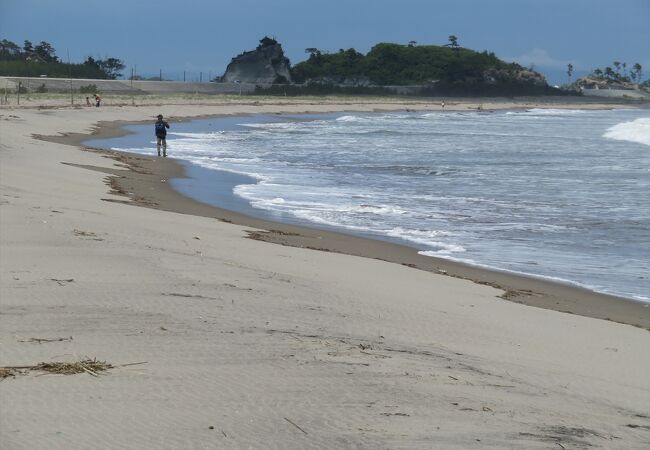 野蒜海岸の釣り場情報魚速報