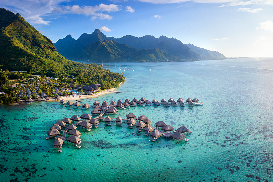 モーレア島 6 時間シュノーケリングとランチのシェアツア