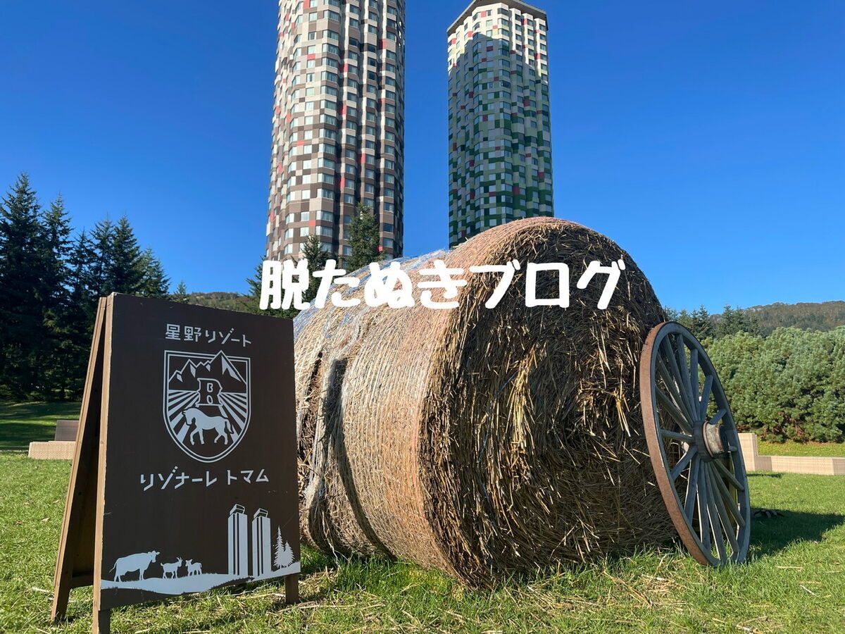 星野リゾートトマムの宿泊記②スタンダードツインルーム部屋紹介 - ユカログ