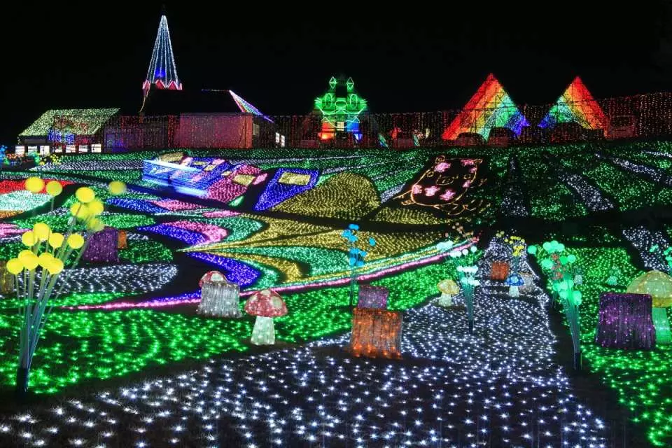 マザー牧場イルミネーション“キラキラファーム”の見どころ6つ！免許と一緒に、タイムズクラブ