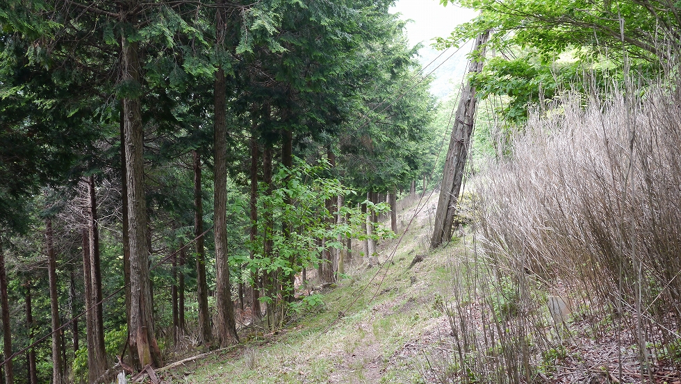 富士山の展望が魅力！槇寄山から、笛吹峠へ歩く山旅 – おめ通