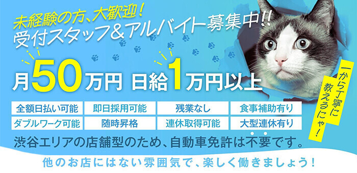 大阪府の日払い・週払いありの風俗男性求人【俺の風】