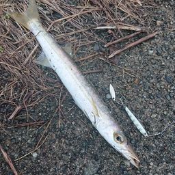 RVパークねやフィッシングパーク太公望 石川県 の情報くるま旅公式WEBサイト