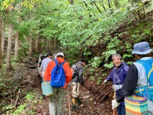 松茸狩り」の2.5万点のロイヤリティフリー画像、写真素材、絵Shutterstock