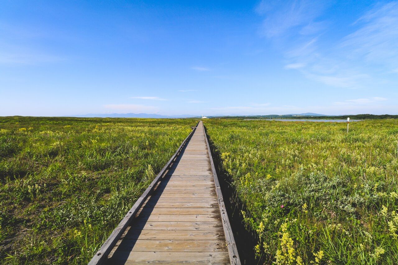 2022年12月6日 火「はまなすの丘公園」も冬支度、白く染まり始めています。 公園に通じる道路は冬季間、除雪が入らず通行できませんのでご注意を🚗⚠️※今日はまだ大丈夫でしたが間もなく通れなくなりそうです December 6, 2022 Hamanasu no Oka Park北海道石狩