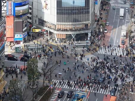 巨大都市・東京を感じれる光景！ 日本最大規模の交差点である渋谷スクランブル交差点Shibuya sukuranburu kōsatenBest Travel Tokyo