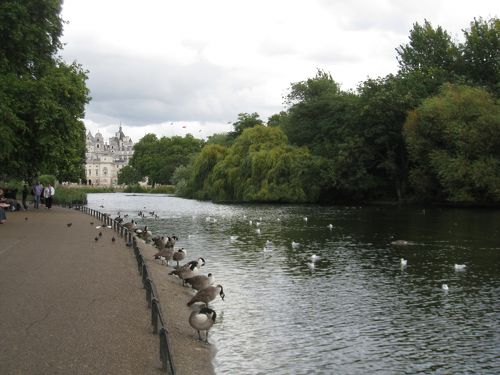 ロンドン大都会の中の癒しの公園セント・ジェームズ・パークとは