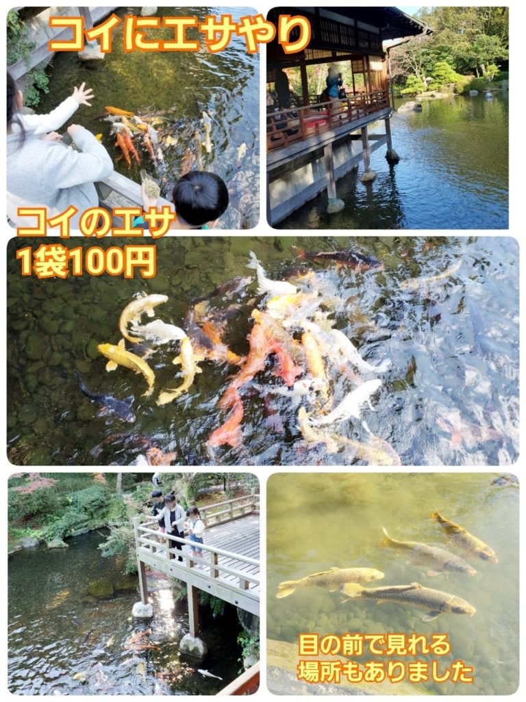 友泉亭公園観光スポット一覧公式 福岡市観光情報サイト よかなび