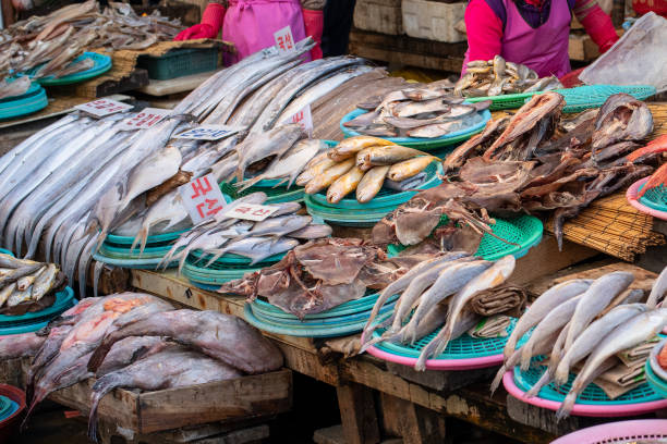 ジャガルチ市場 韓国料理店MEQQE めっけ