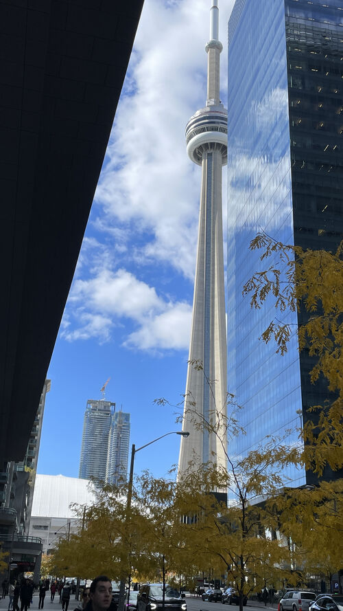トロントへの旅行 おすすめスポットを紹介カナダ留学コンパス