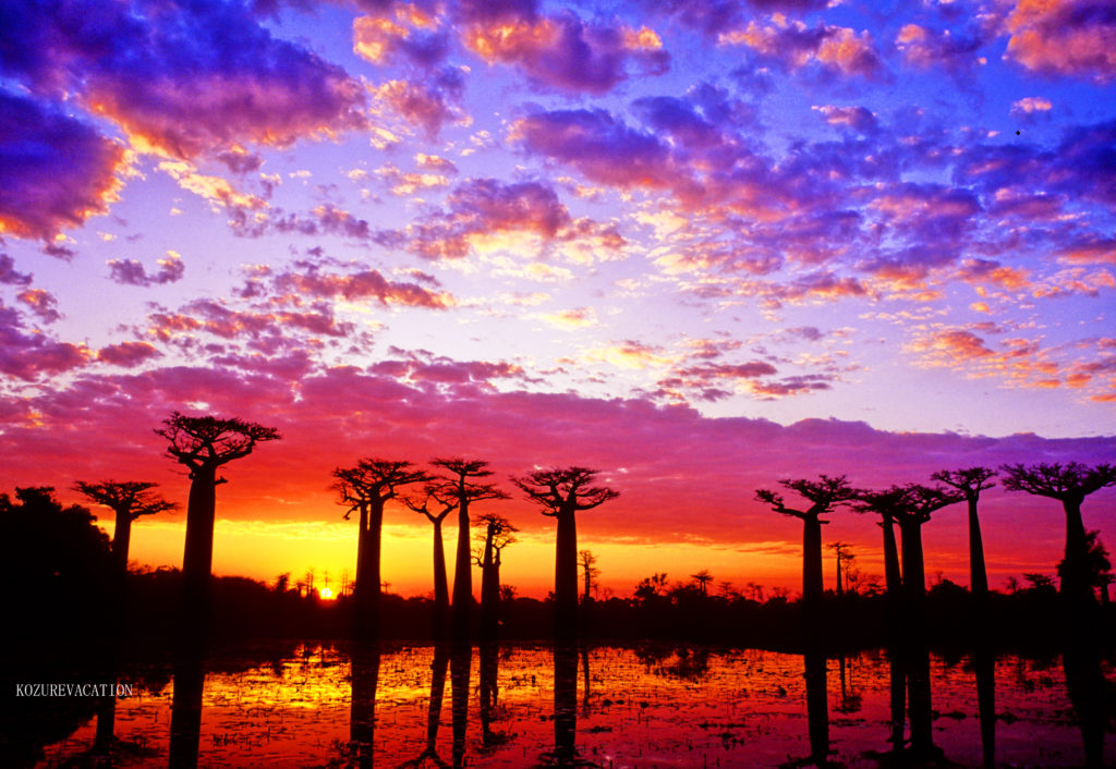 夕日絶景ランキングトップ10 まるで絵画の世界！ インスタ映えどころの騒ぎじゃないOggi.jp