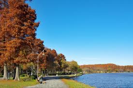 水元公園 バーベキュー広場 売店 クチコミ・アクセス・周辺情報亀有・柴又 - フォートラベル