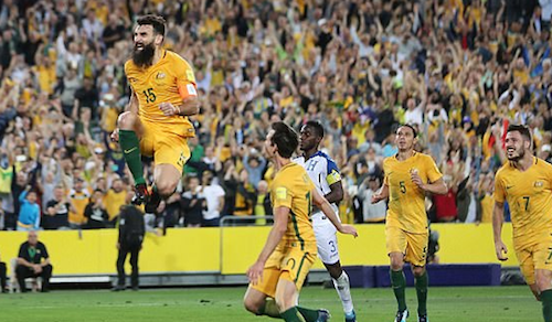 フィーチャーワールドシリーズ