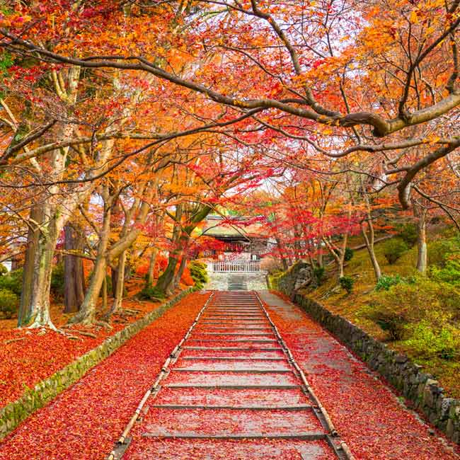 山科・醍醐エリアガイドそうだ 京都、行こう