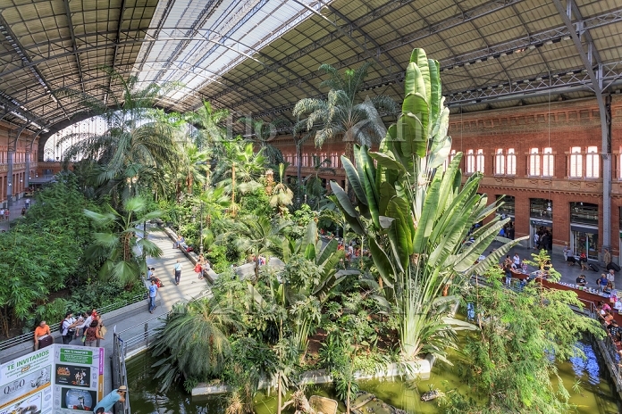 スペイン アトーチャ駅の観光・見所について 現地オプショナルツアーの みゅう