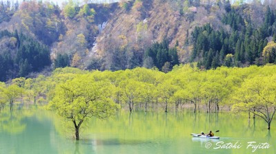 白川ダム湖岸公園キャンプ場 フリーサイト 観光スポット 飯豊町・置賜地方 やまがたへの旅 - 山形県の公式観光・旅行情報サイト