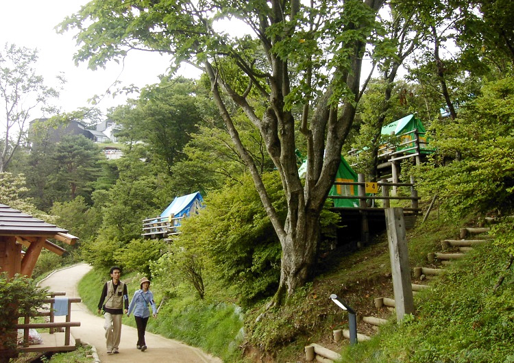 金剛山葛木神社－ちあかポータル