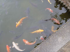 子どもと無料で楽しむ海南こどもの国 愛知県弥富市、人気の遊び場Fuente Blog フェンテブログ │ママのハッピーライフを応援しますFuente Blog フェンテ ブログ │ママのハッピーライフを応援します