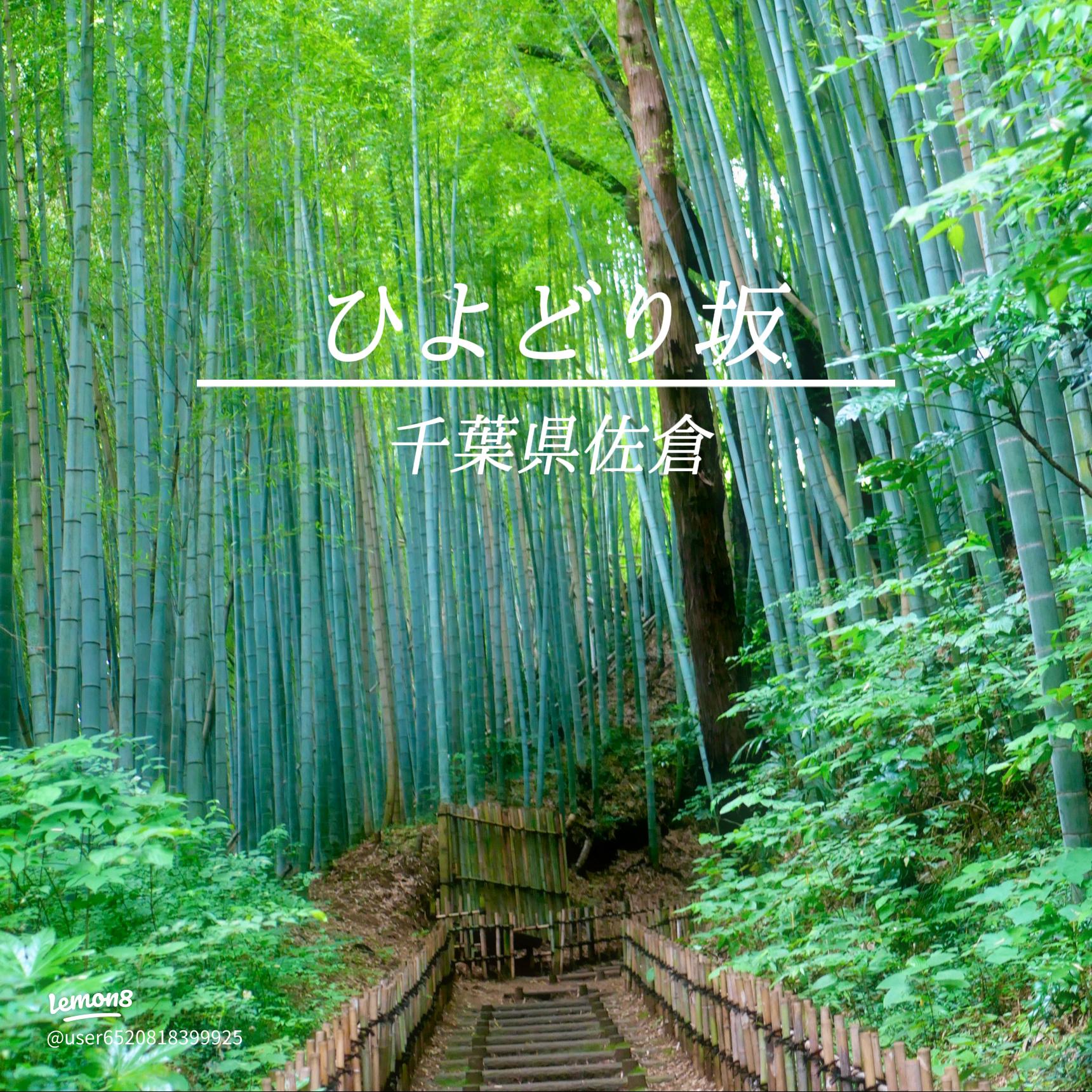 ひよどり坂で江戸時代の雰囲気を楽しむ