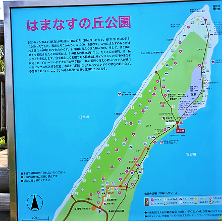 はまなすの丘公園 ― 石狩灯台と遊歩道 ― - kamonji224の日記 ― 北海道見聞録 ―