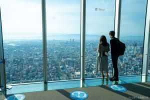 施設案内ハルカス300 展望台 あべのハルカス