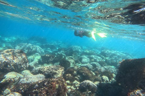 関東の最高峰！真鶴「番場浦海岸」でシュノーケリング 中上級者向け東京シュノーケリングブログ