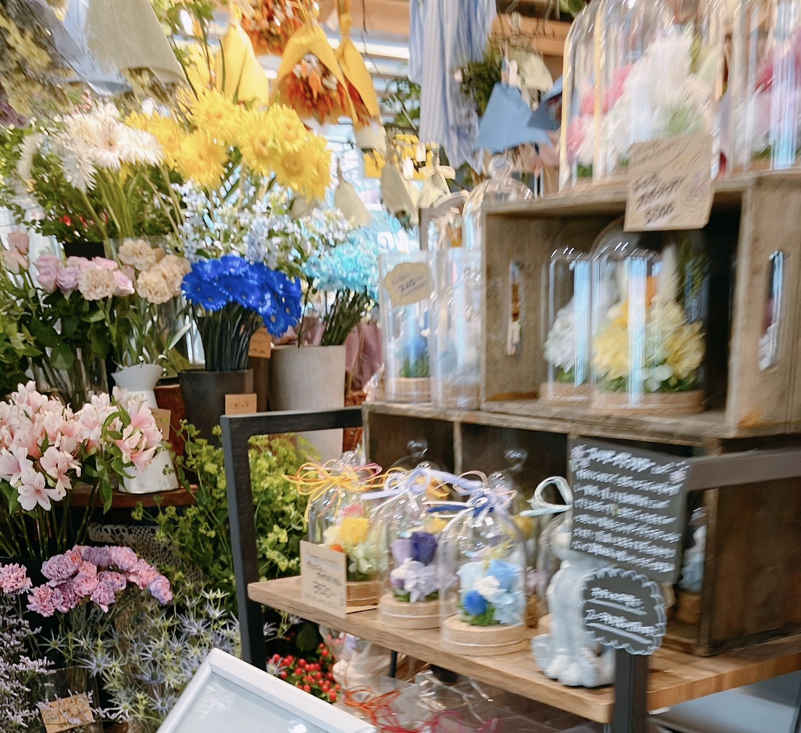 新宿の花屋さん20選！駅の出口別おしゃれ花屋さん一覧2025年最新romolog