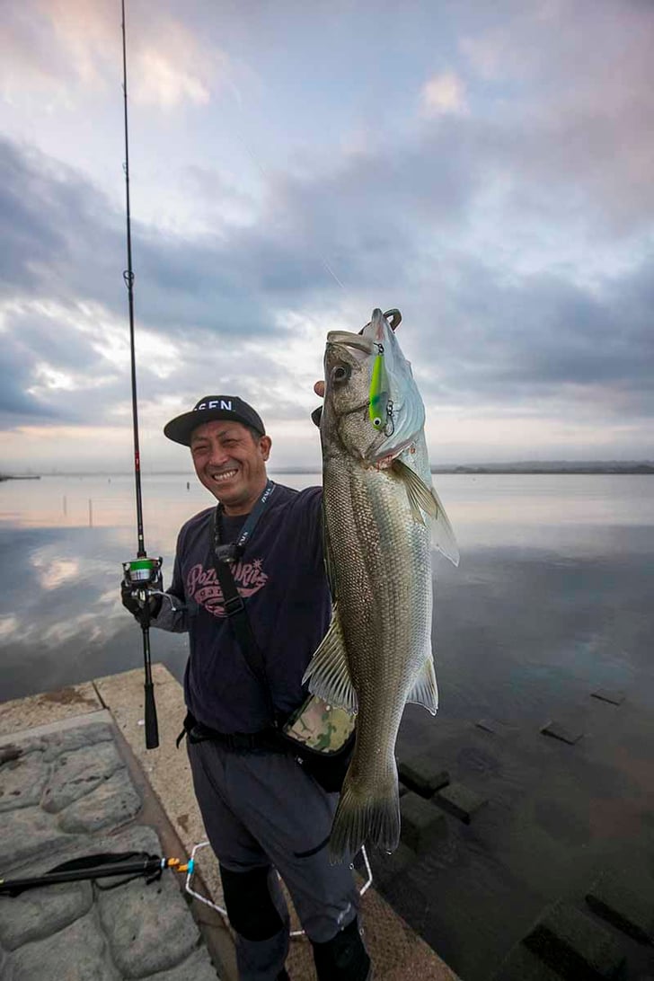 今年も利根大堰下流のシーズンが事実上終了ですね🎣, 利根マス遡上の第一関門ですが、今年は・,これからは利根大堰上流の、更に厳しく難しい釣りが待ってますね😅, 動画は過去の投稿と被りますが、ご了承ください😅,pr,利根マス ,利根川シーバス ,サクラマス,ownercultiva ,カルティバ,エムアンドエヌコーポレーション ,mandncorporation