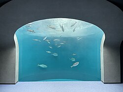 仙台うみの杜水族館仙台うみの杜水族館