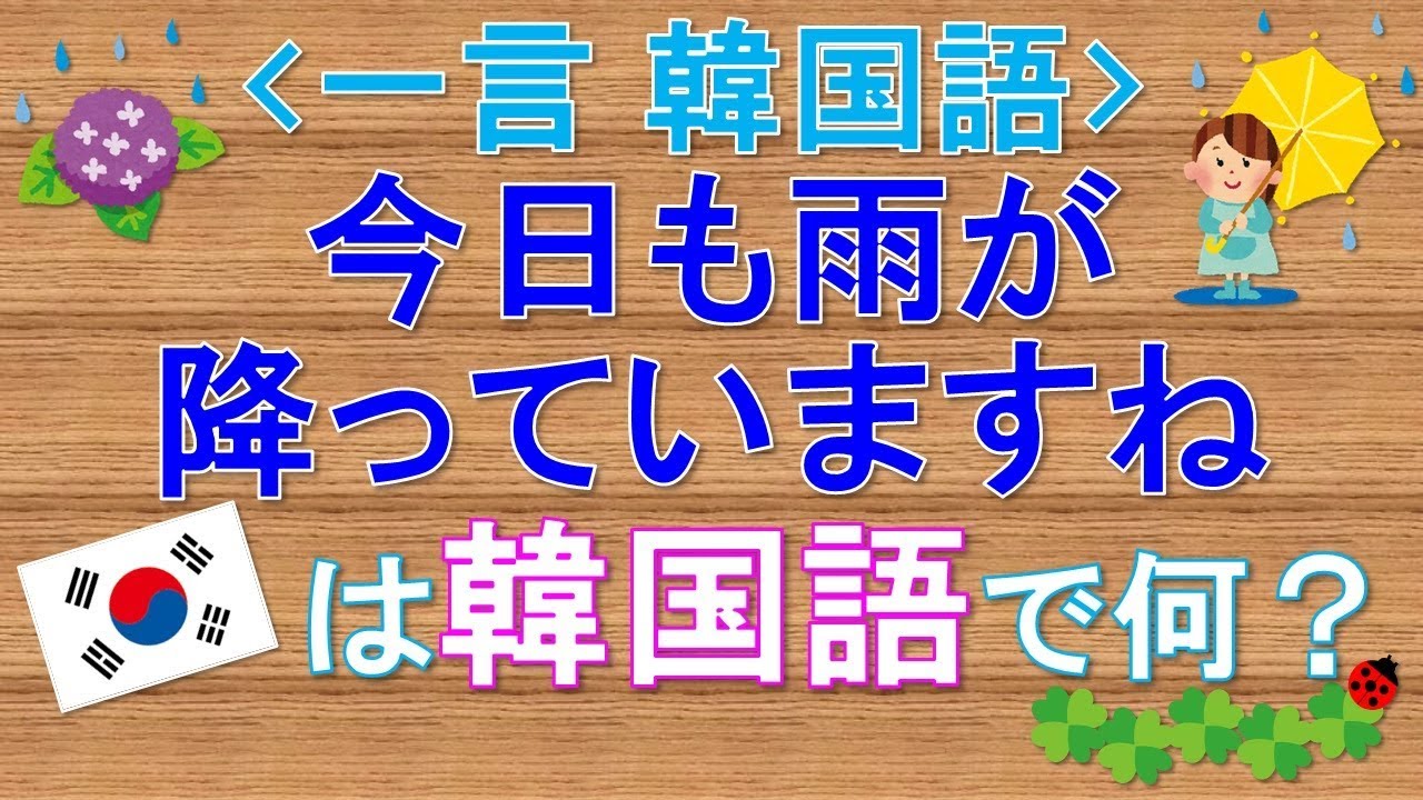 韓国首都圏、２３時間で３７４ミリ バケツをひっくり返したような、滝のような雨 : 政治•社会 : ハンギョレ新聞